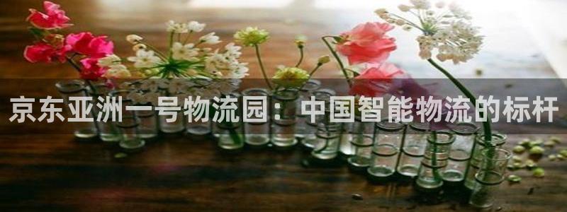 28圈赌博软件正规吗：京东亚洲一号物