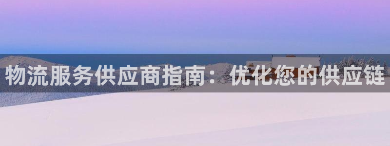 28圈p扣款什么意思：物流服务供应商